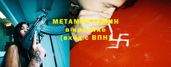 индика Абаза