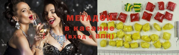индика Алзамай