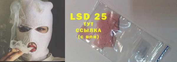 индика Алзамай