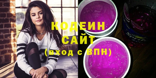 индика Абаза