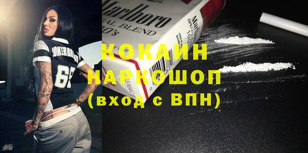 индика Абаза