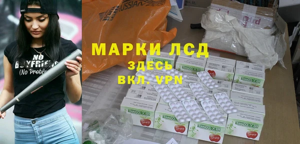 индика Абаза