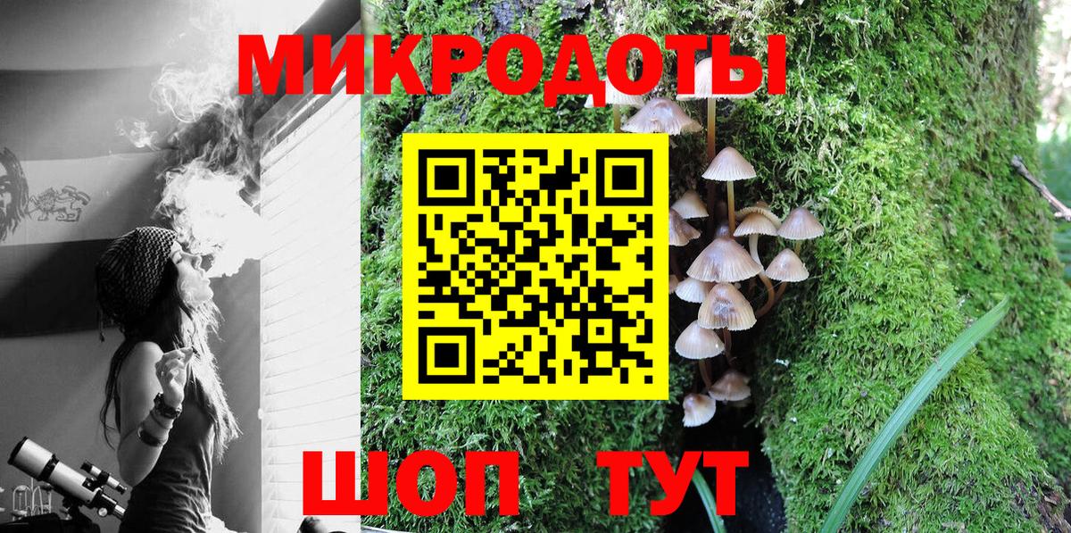 Псков  Псилоцибиновые грибы MAGIC MUSHROOMS  Вход с VPN  Галлюциногенные грибы Psilocybe 